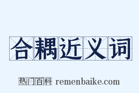 合耦近义词是什么意思的图片